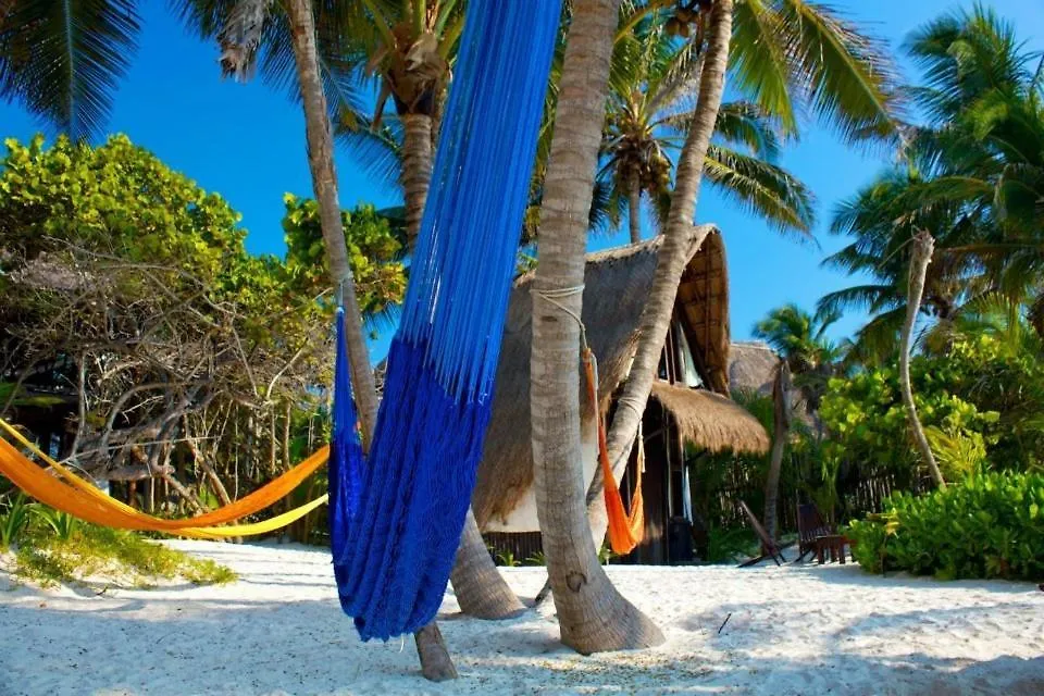 Playa Selva-1