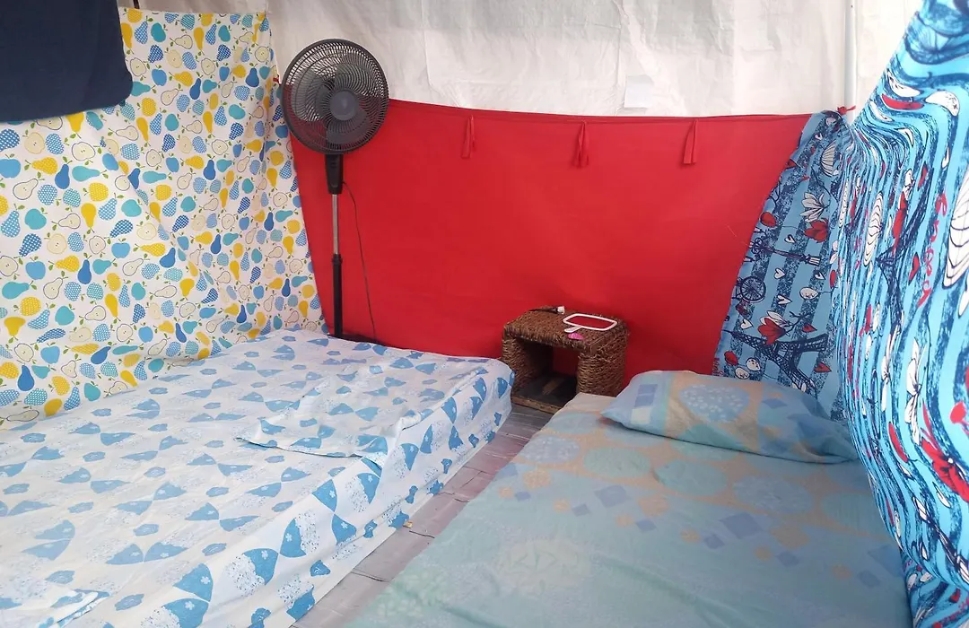 Voluntary & Camping-1