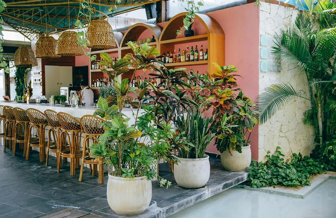 Mi Amor By La Zebra, An Slh Hotel (Adults Only)-1