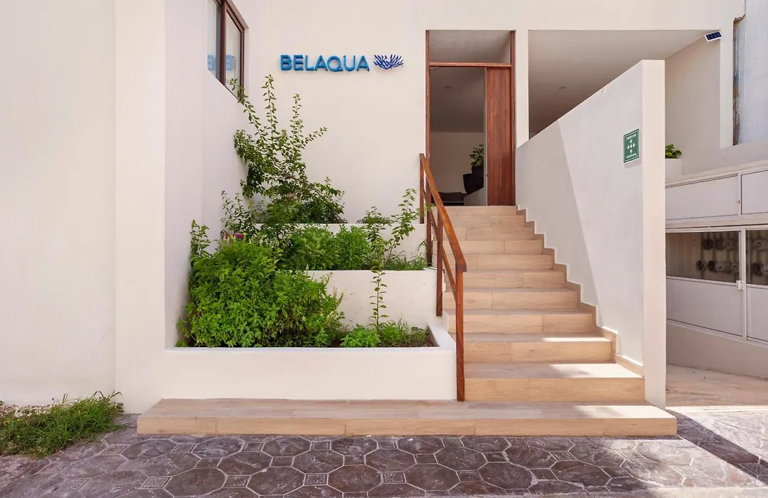 Playa Norte Oceanfront Remote Work Plus Concierge-1