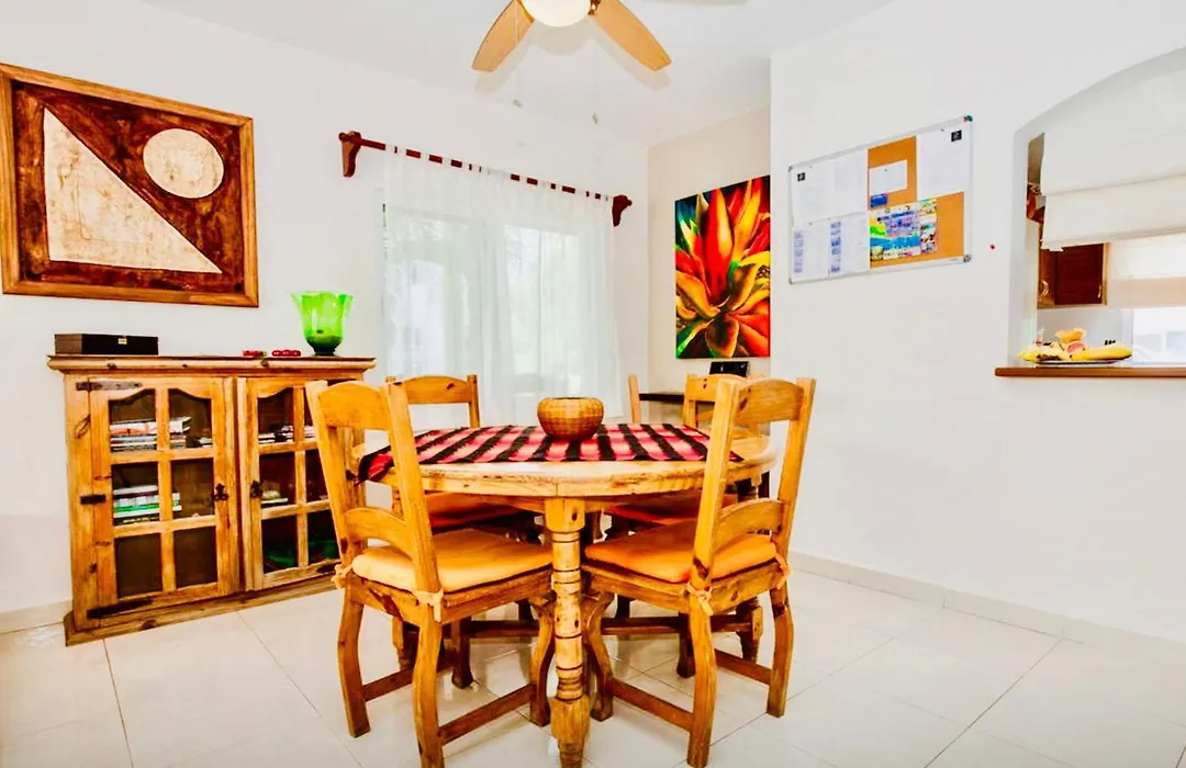 Playacar-1