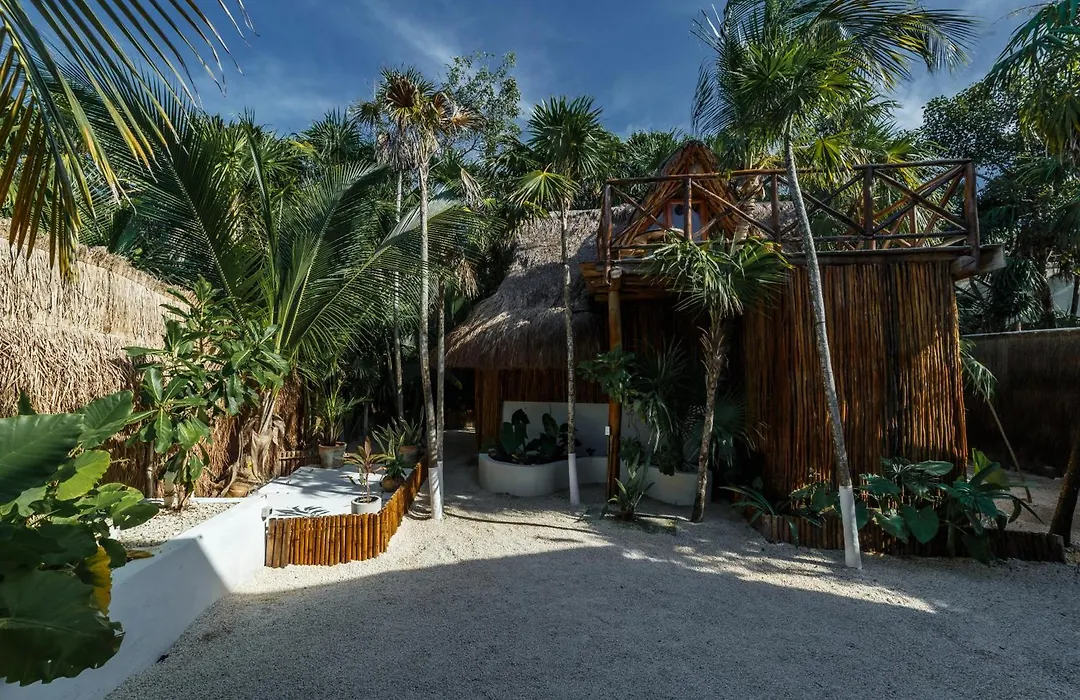 Eco Banitas Tulum-1