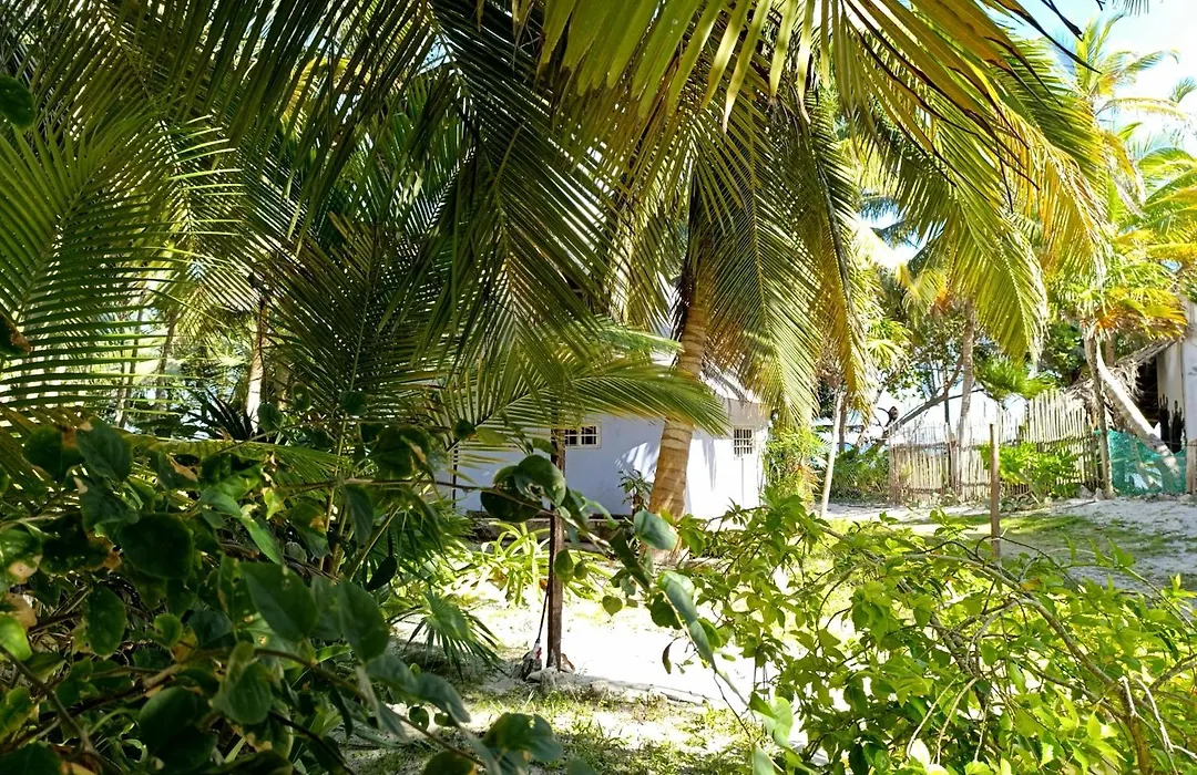 Chez Gigi - Eco Lodge-1
