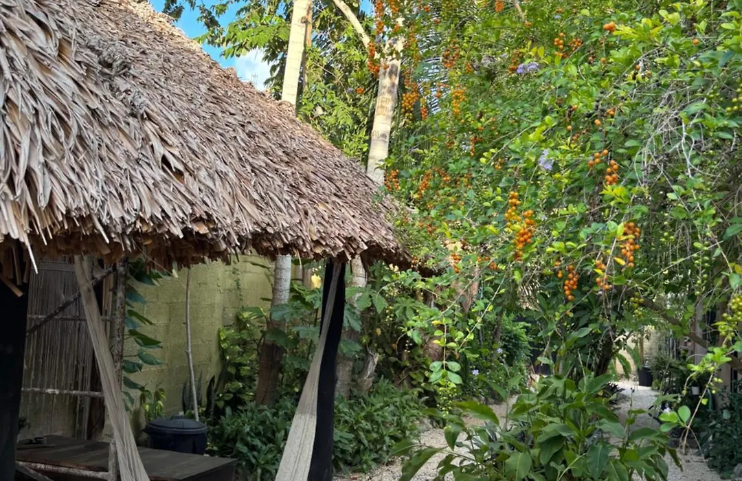 Jungla Bacalar-1