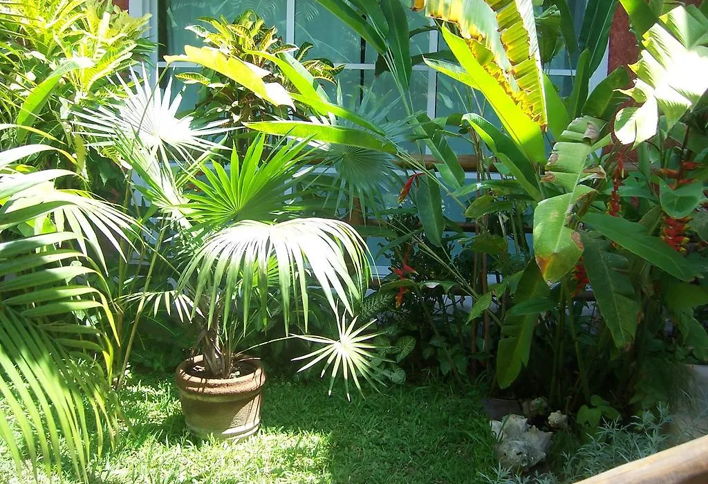 Elements Of The Island-1
