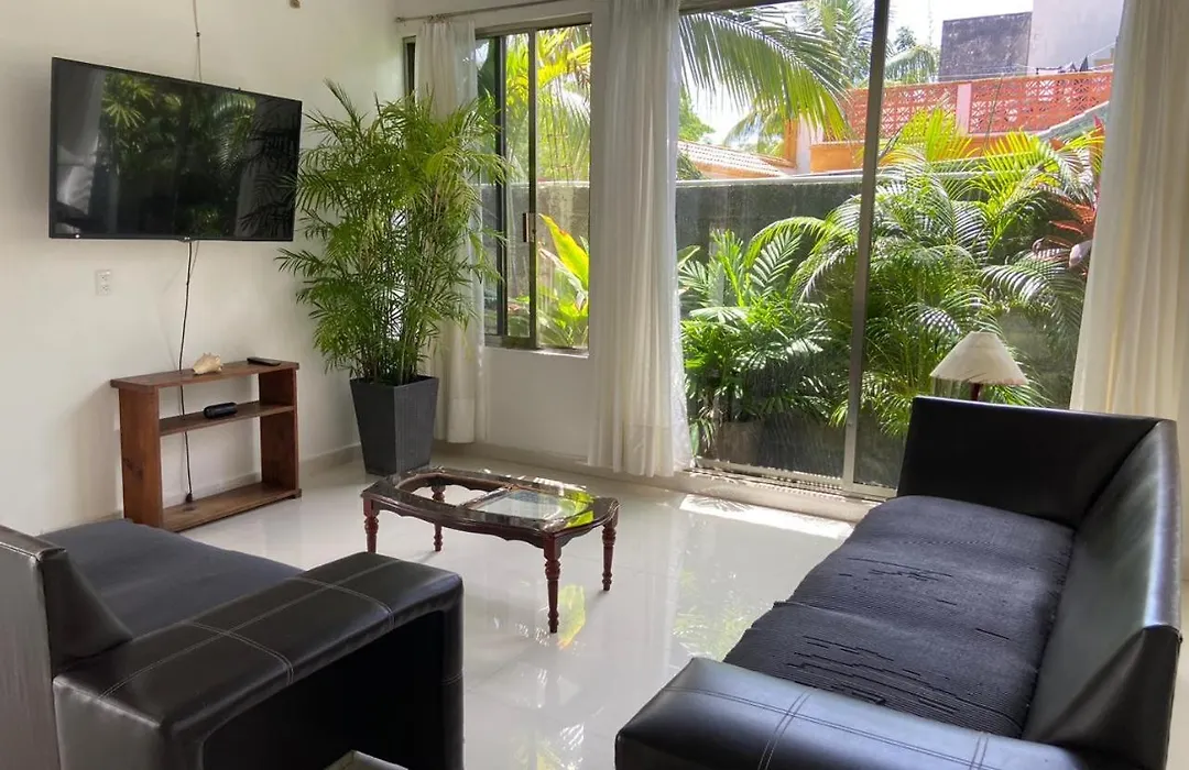 Casa Donde Entra La Luz Y Vive La Naturaleza Cctv-1