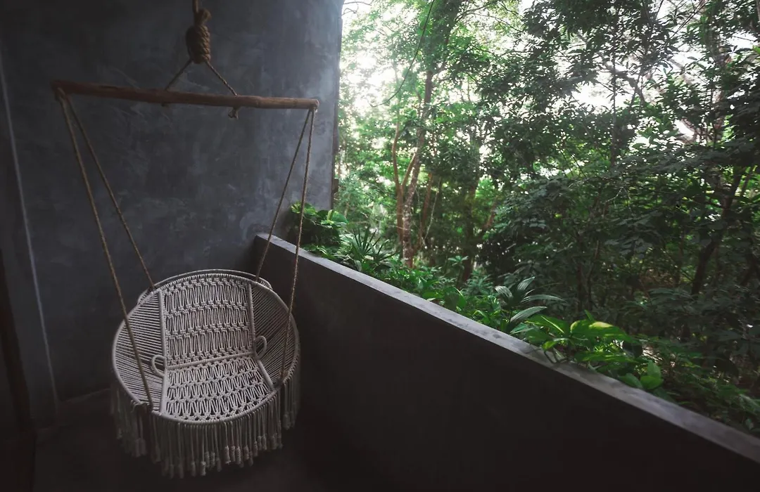 Casa Vive Bacalar-1