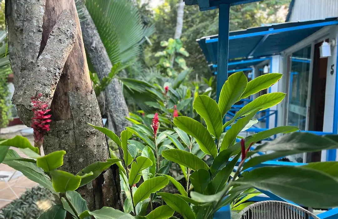 Zensus Eco Boutique Hotel-1