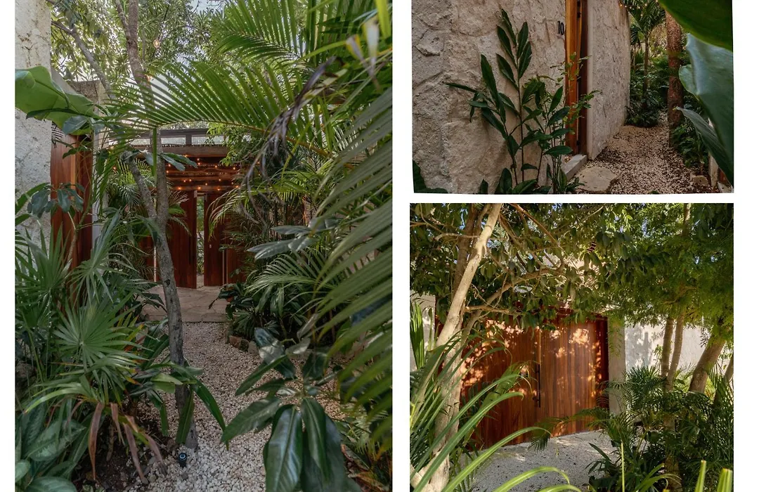 Entorno Tulum - Luxury Villas-1