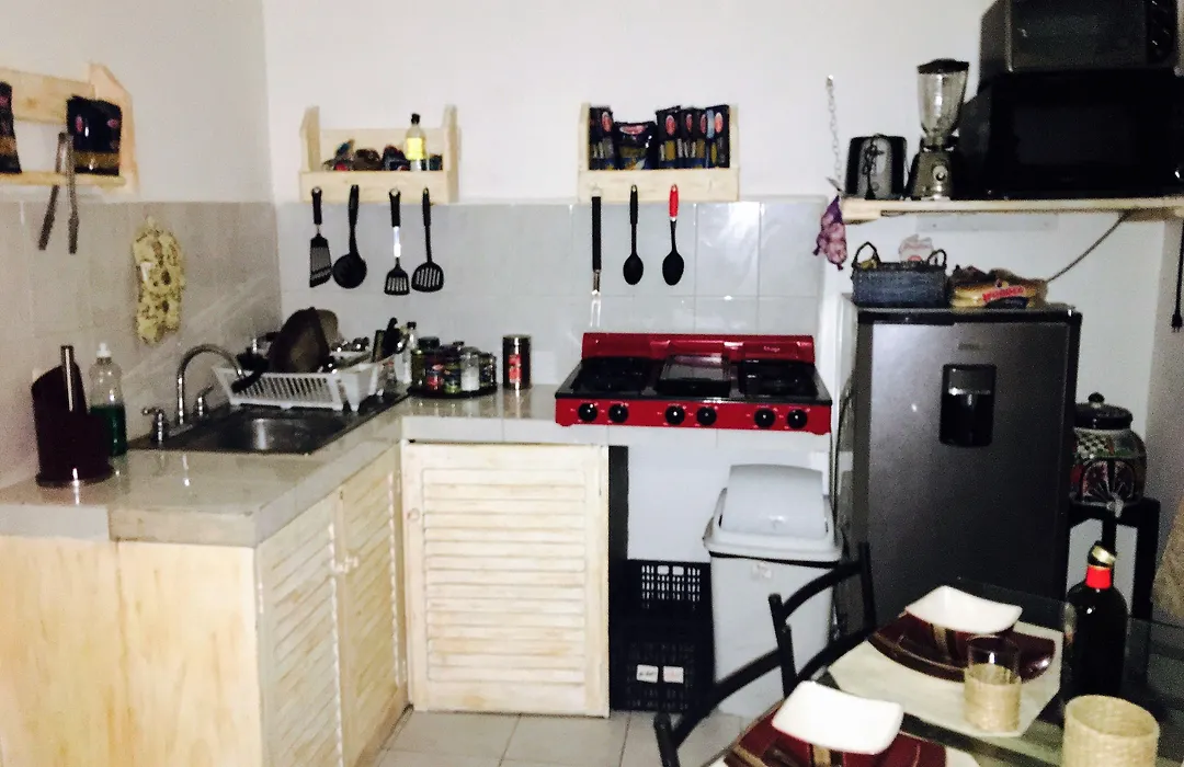 Casa Palmare-1