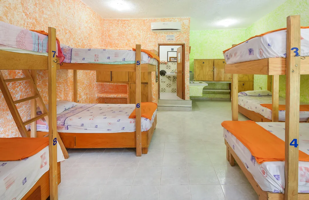 Amigos Hostel Cozumel-1