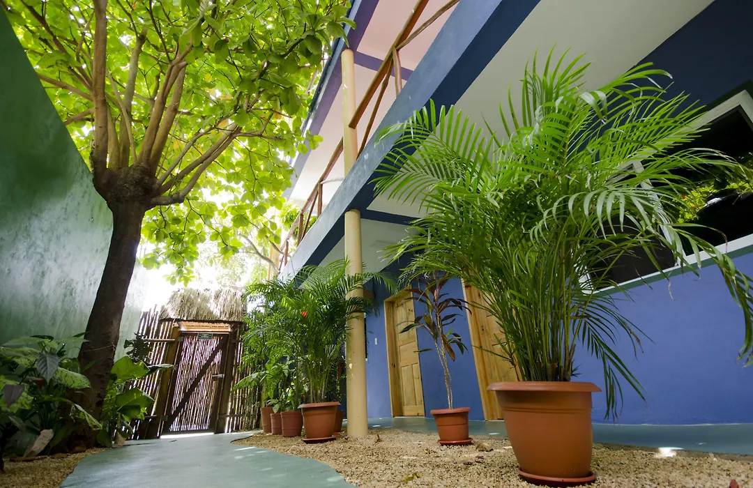 Casa Almendro-1