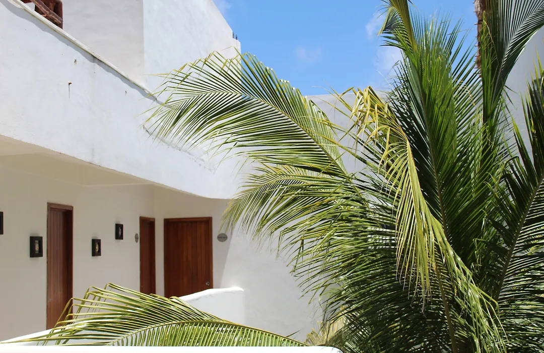 El Fuerte Beach Apartments-1