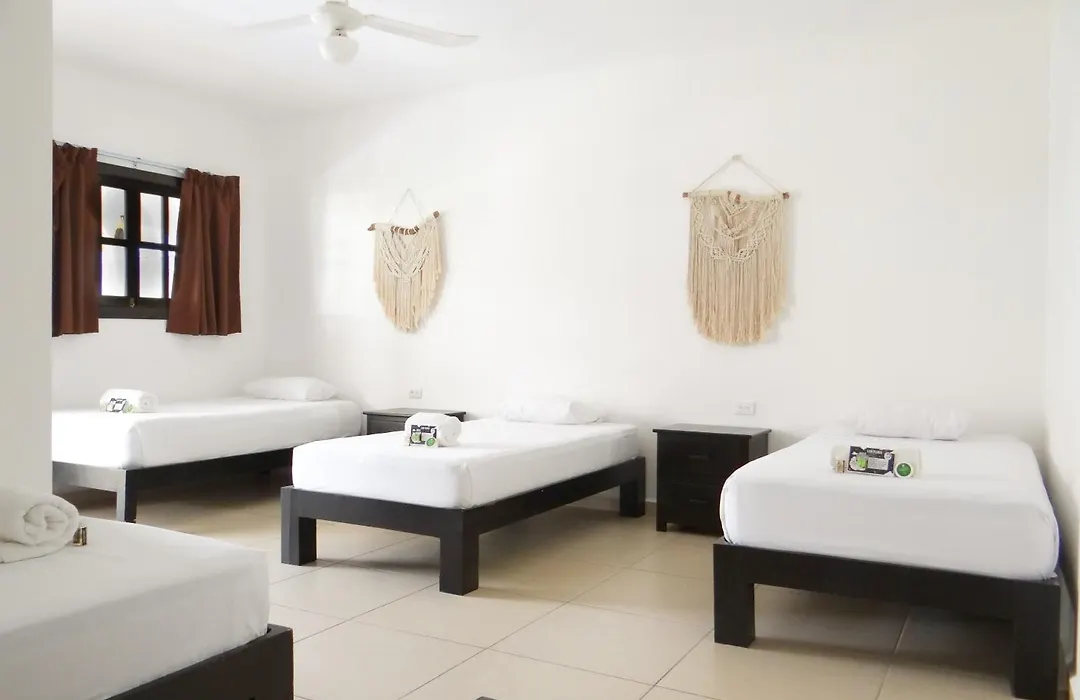 We Playa Hotel - Adults Only-1