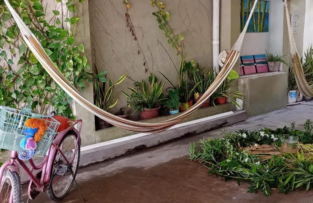Hotel Jardin Mahahual-1