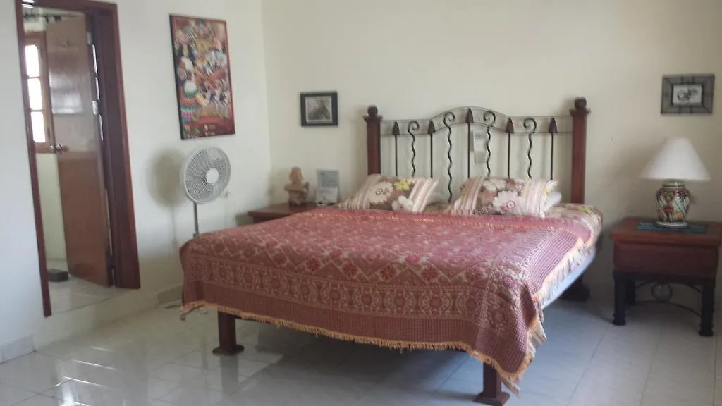 Beachouse Dive Hostel Cozumel-1