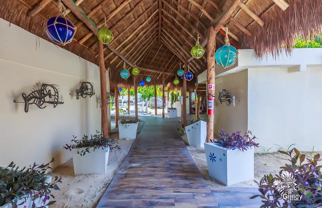 Hotel Paradise Suites-1