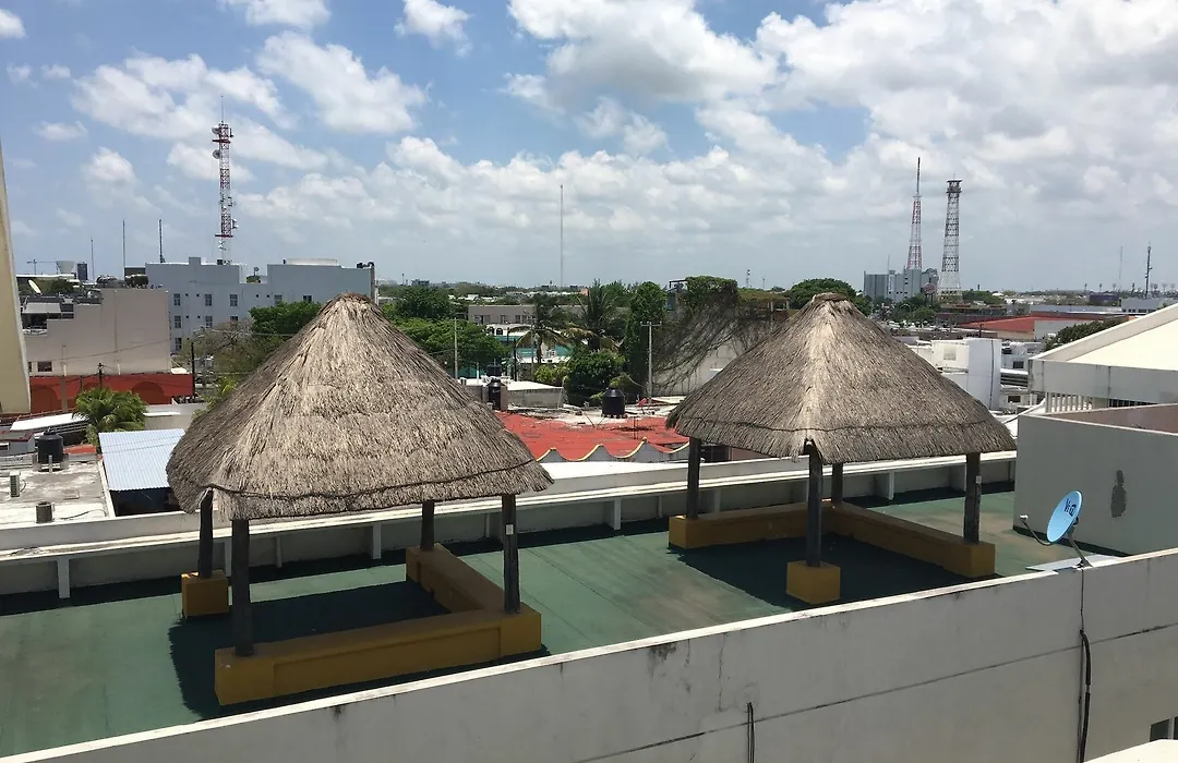 Crisantemos Suite-1