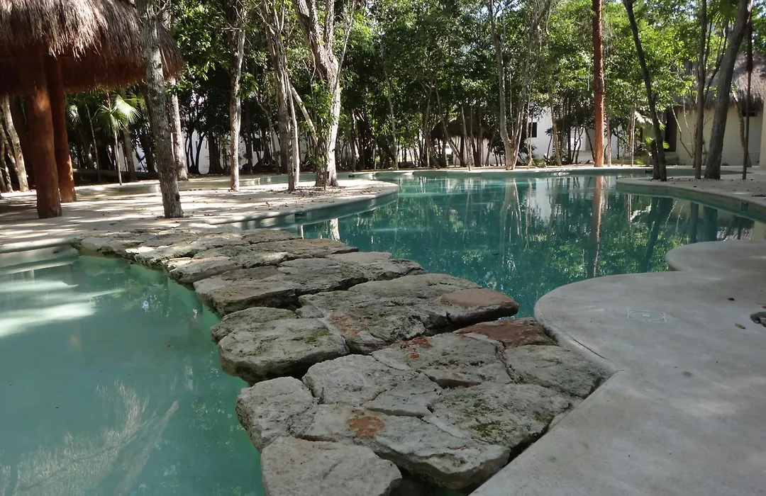 Tropical Paradise Apartment-1