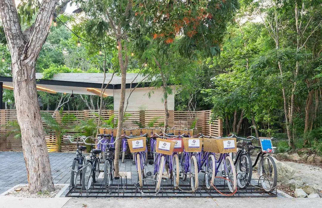 Beautiful Villa Tu-Kaan - 2Br Jungle Retreat At Aldea Zama-1