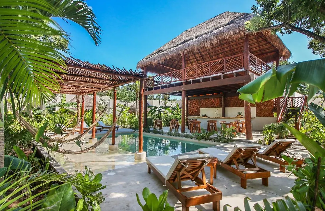 Zenses Wellness And Yoga Resort - Adults Only-1