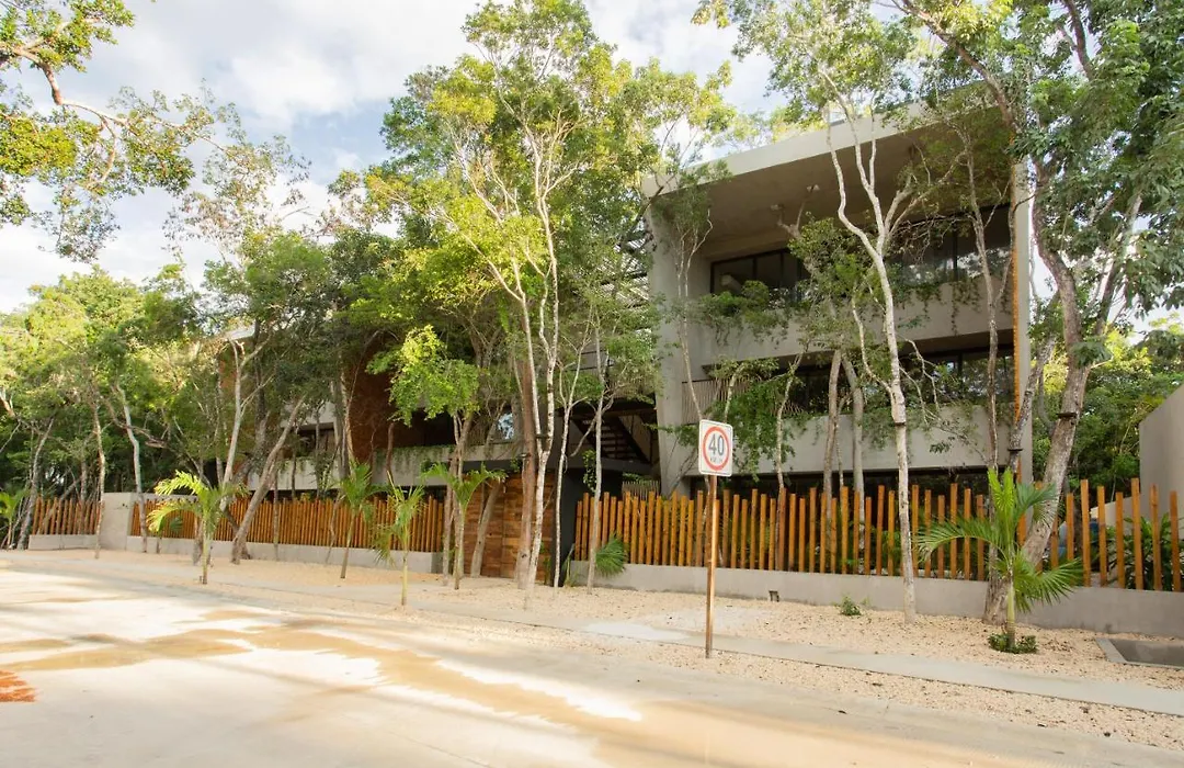 Arba Tulum - Aldea Zama-1
