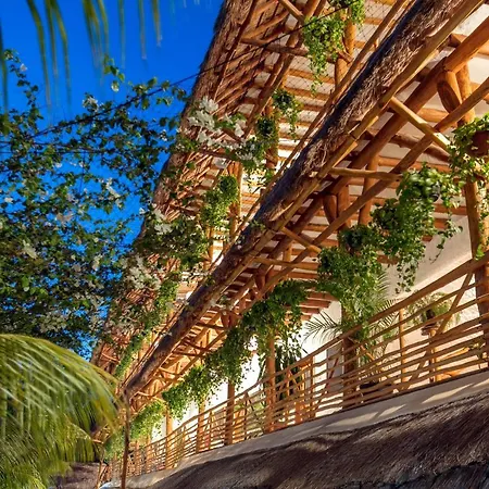 Hotel Moon Dreams Holbox-3