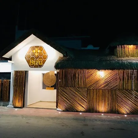 Casa Bizu-2