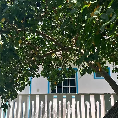 Estudios Rehilete-2