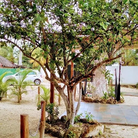 Cedro Rojo-3