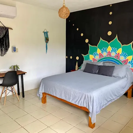 Junglabacalar/ Casa Colibri-3