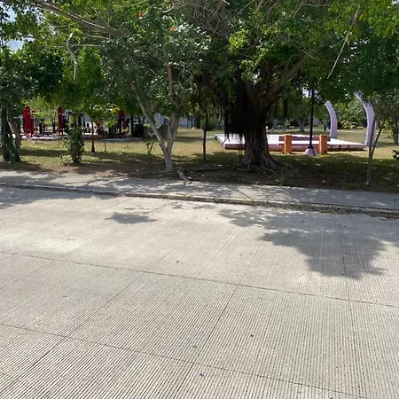 La Casa Del Arbol-3