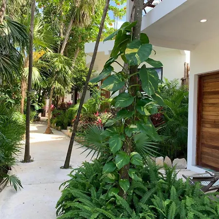 Esduma Nativa Hotel Tulum-2