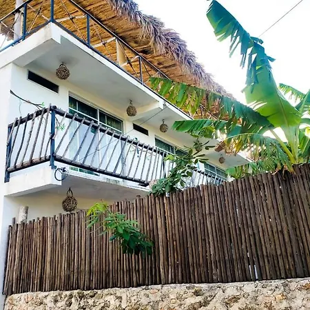 La Casa De Las Aves-3
