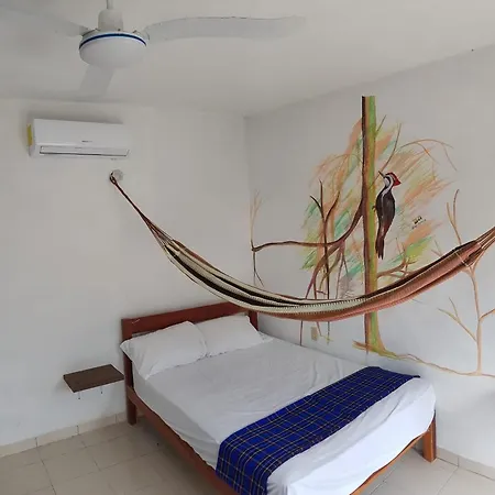 La Casa De Las Aves-2