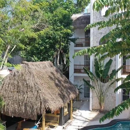 Loto Tulum-2