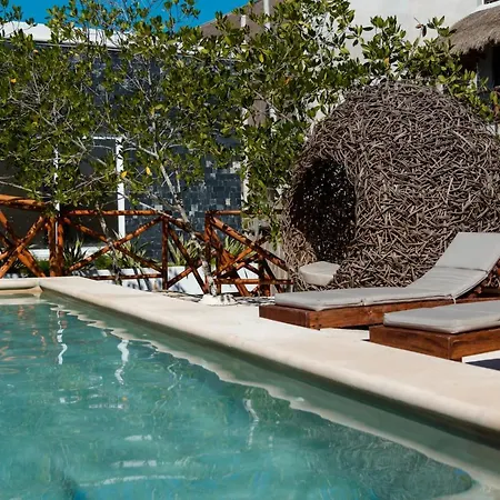Sanyama Holbox-2