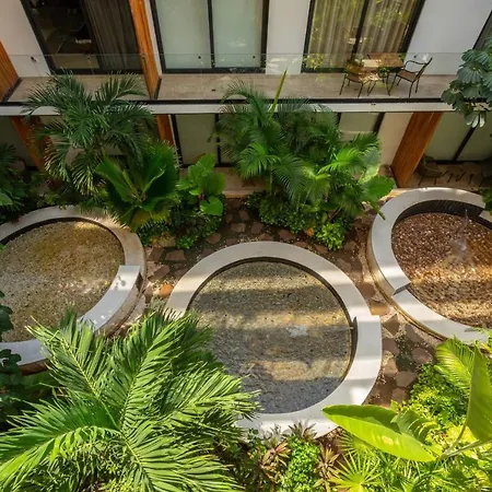 Cozy Studio In Playa Del Carmen Downtown - Few Steps From The Beach-2