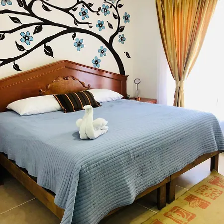 Delfin Dreams Cancun-2