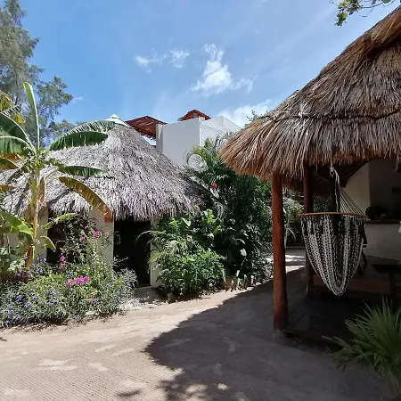 Casa Mech-2