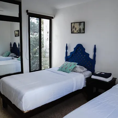 Casa Moreletii-3
