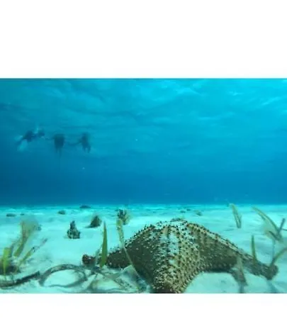 Suites Cozumel 112-3