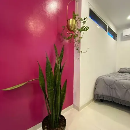 Departamento Pina / Mkt-Mercado 28 / 3 Recamaras-Rooms-2