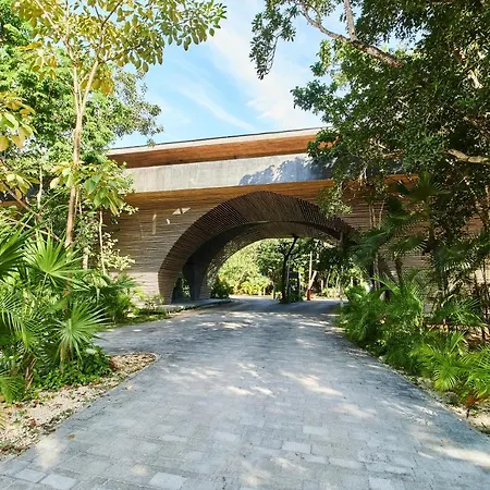 Unique Tuluminatti Style Apartment With Swing Hammocks And Plunge Pool In Most Exclusive Gated Community In Aldea Zama-3