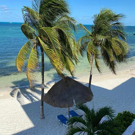 Tropical Apartment-3