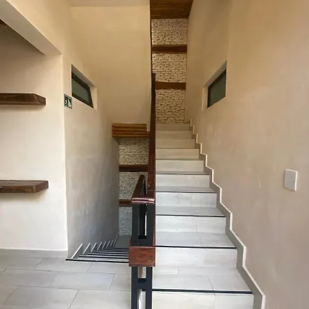 Polo15 Suite-3