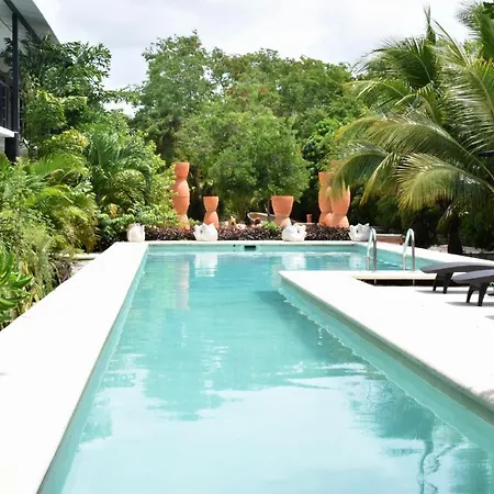 Barronegro (Adults Only)-3