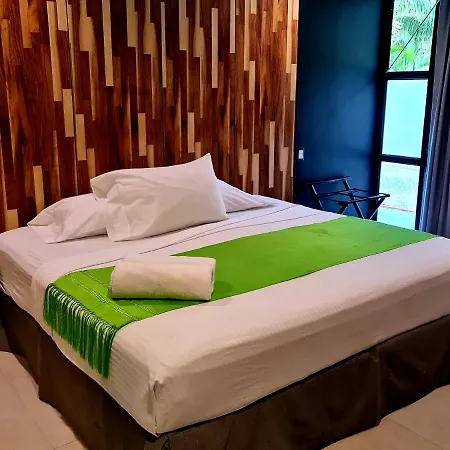 Barronegro (Adults Only)-2