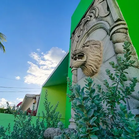 Villa Leo Cancun Downtown-3