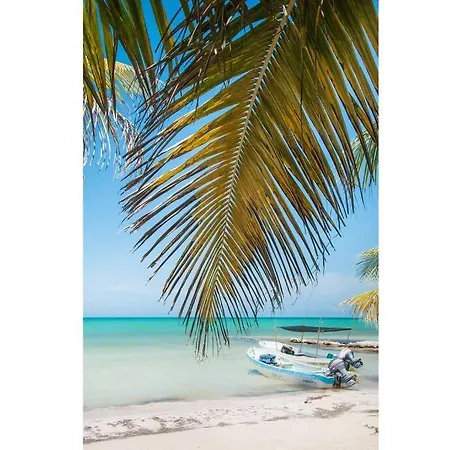 Holbox Island Casa Impala-2